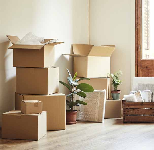 Apex Movers And Packers Bangalore